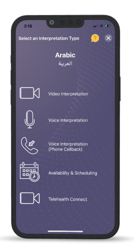 Select Interpretation Arabic (forward) - 2022